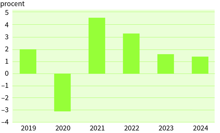 BNP procentuell förändring 2019–2024