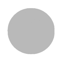 circle-gray