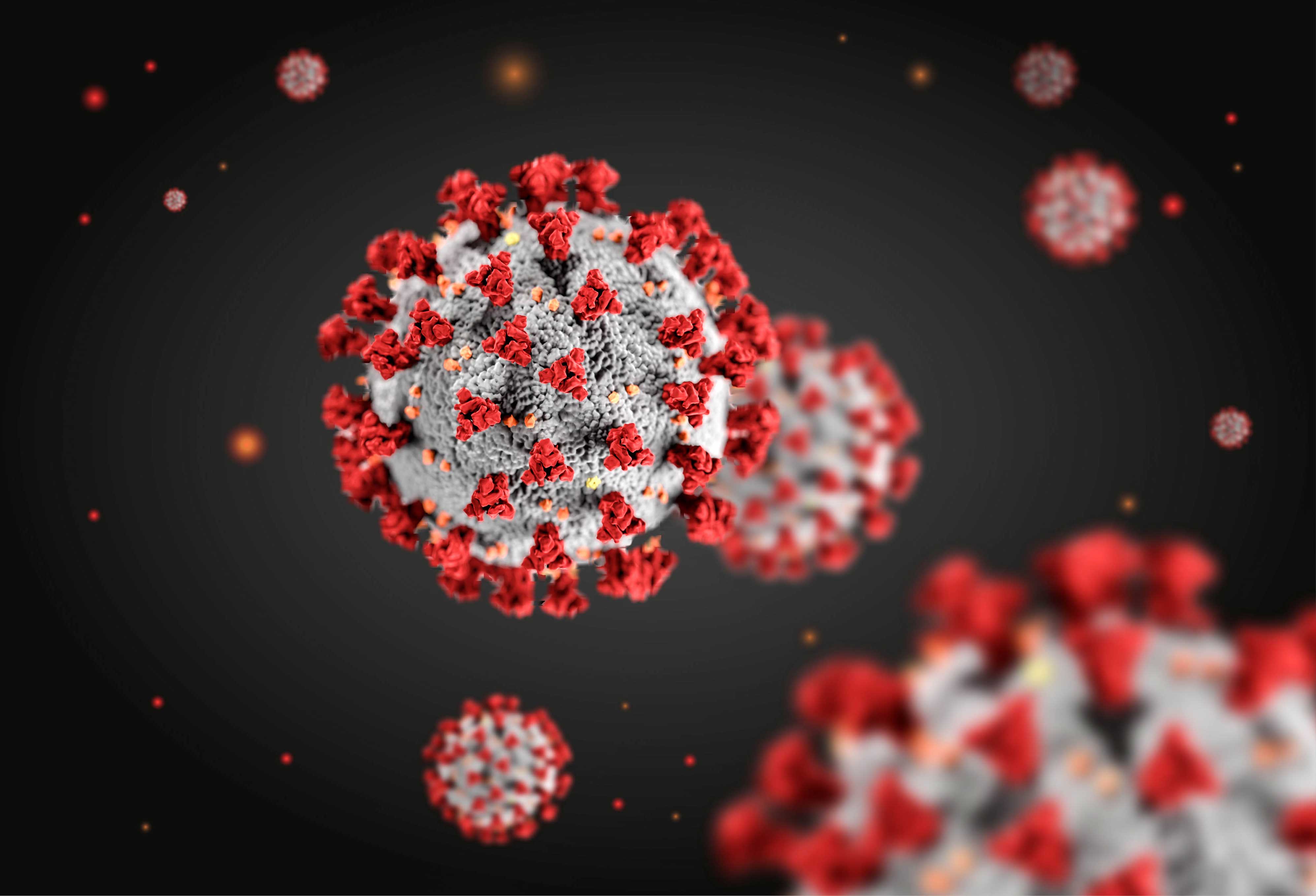 coronavirus-structural-morphology